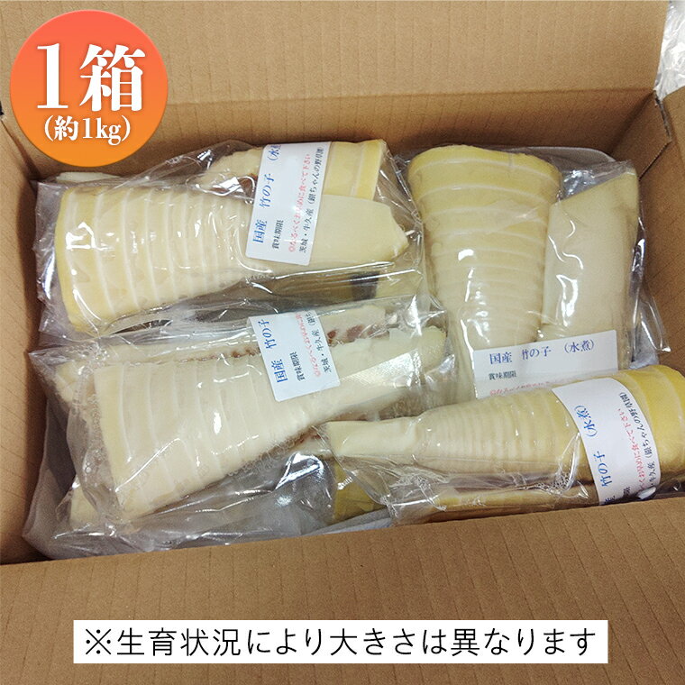 【ふるさと納税】《 先行予約 》 掘りたて 穂先 ゆでたけのこ 約1kg 【 2026年 4月中旬 以降発送 】 野菜 春 旬 期間限定 数量限定 国産 産地直送 箱 真空パック 個包装 茹で 筍 タケノコ 竹の子 - 画像2