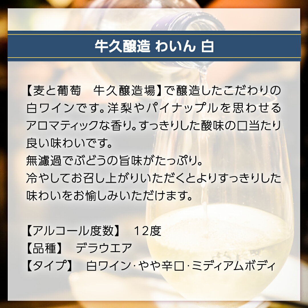 【ふるさと納税】『 牛久醸造 わいん 』 山形デラウエア × 1本 茨城県産 牛久醸造場 日本ワイン ワイン 白ワイン 750ml お酒 贈り物 完熟 葡萄 ぶどう 洋梨 パイナップル 酸味 サムネイル2