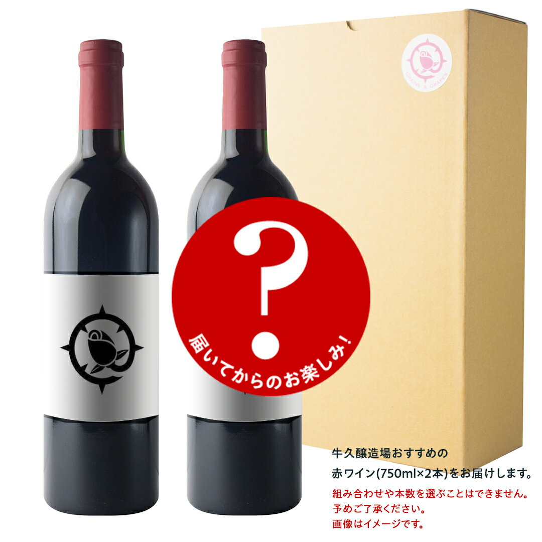 【ふるさと納税】【 3ヶ月 おまかせ 定期便 】 赤ワイン 2本セット 飲み比べ 茨城県産 牛久醸造場 厳選 750ml × 2本 お酒 ワイン ワイン好き 初心者 上級者 贈り物 ギフト 詰め合わせ サムネイル2