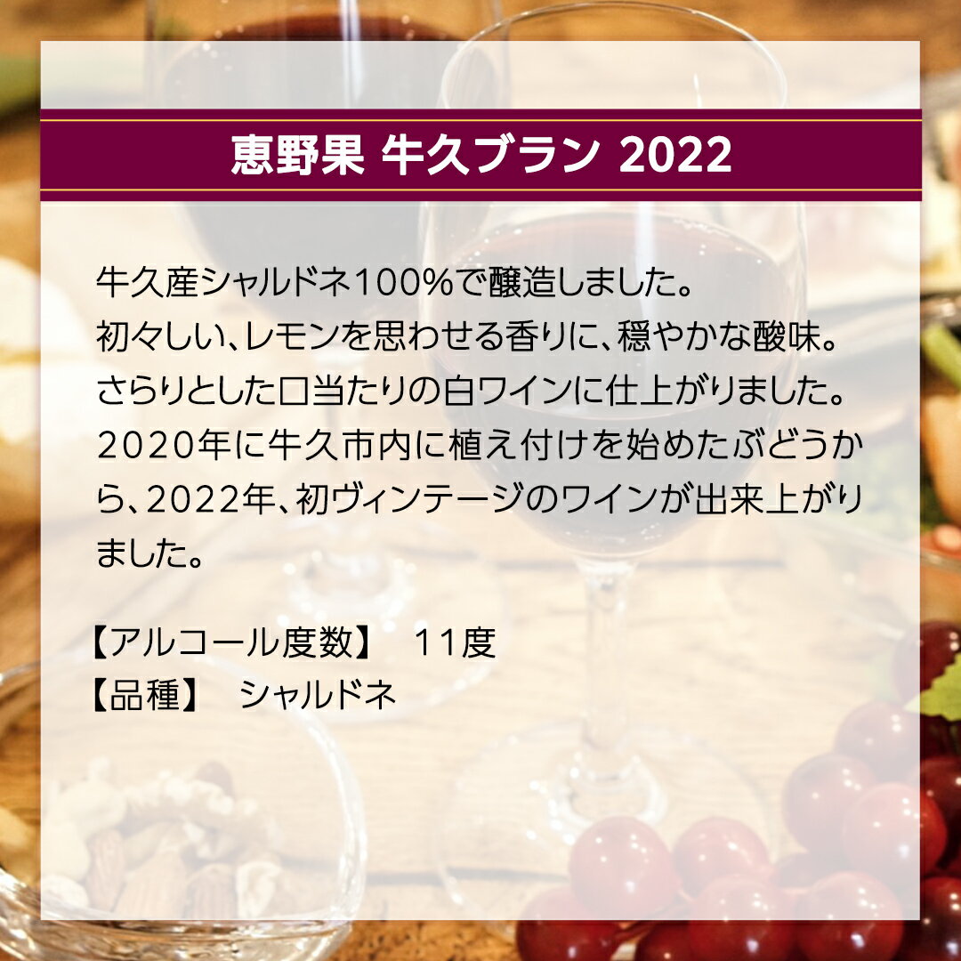 【ふるさと納税】 恵野果 牛久ブラン 2022 750ml×1本 茨城県産 牛久醸造場 日本ワイン ワイン 白ワイン 750ml ミディアムボディ お酒 贈り物 葡萄 ぶどう サムネイル2
