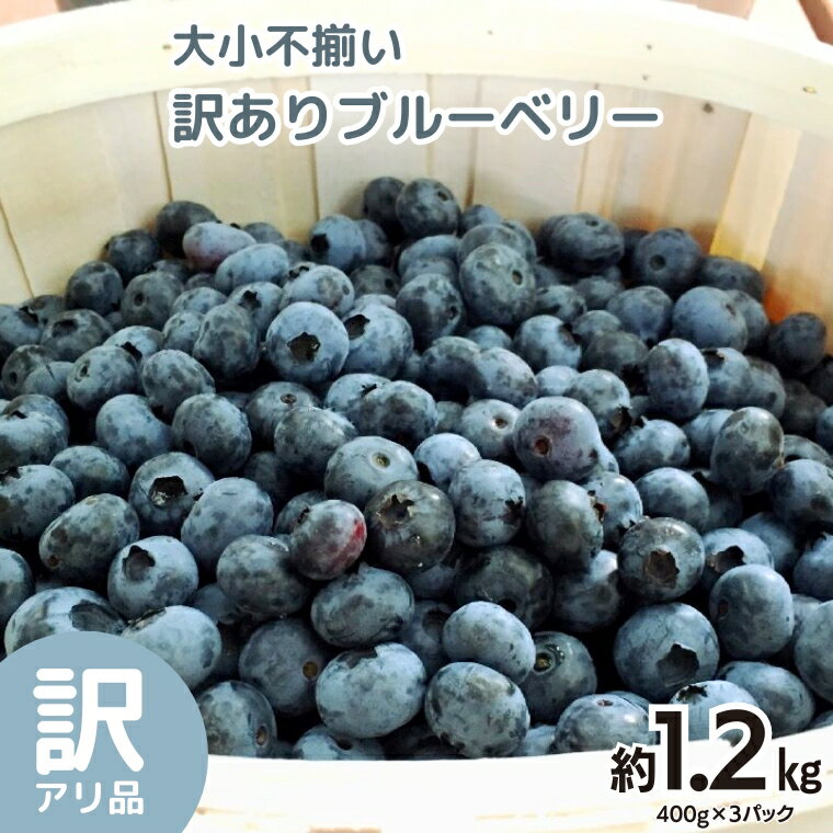 大小不揃い 訳あり 冷凍ブルーベリー 1.2kg 甘い 甘酸っぱい 冷凍フルーツ 果物 くだもの おやつ お取り寄せ お土産 贈り物 贈答 ギフト 国産 茨城 農園
