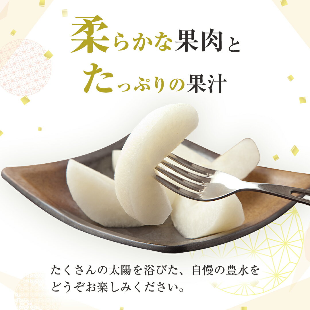 【ふるさと納税】 【 2026年8月下旬発送開始 】 茨城県産 梨 豊水 （約 5kg ） 10～14玉 梨 なし 和梨 日本梨 果物 フルーツ 新鮮 旬 期間限定 国産 先行予約 サムネイル2