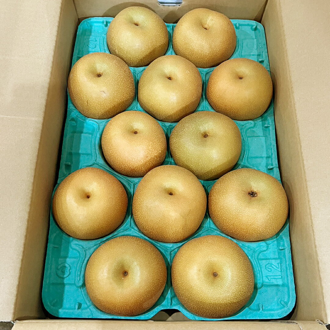 【ふるさと納税】 【 2026年8月下旬発送開始 】 茨城県産 梨 豊水 （約 5kg ） 10～14玉 梨 なし 和梨 日本梨 果物 フルーツ 新鮮 旬 期間限定 国産 先行予約 サムネイル3