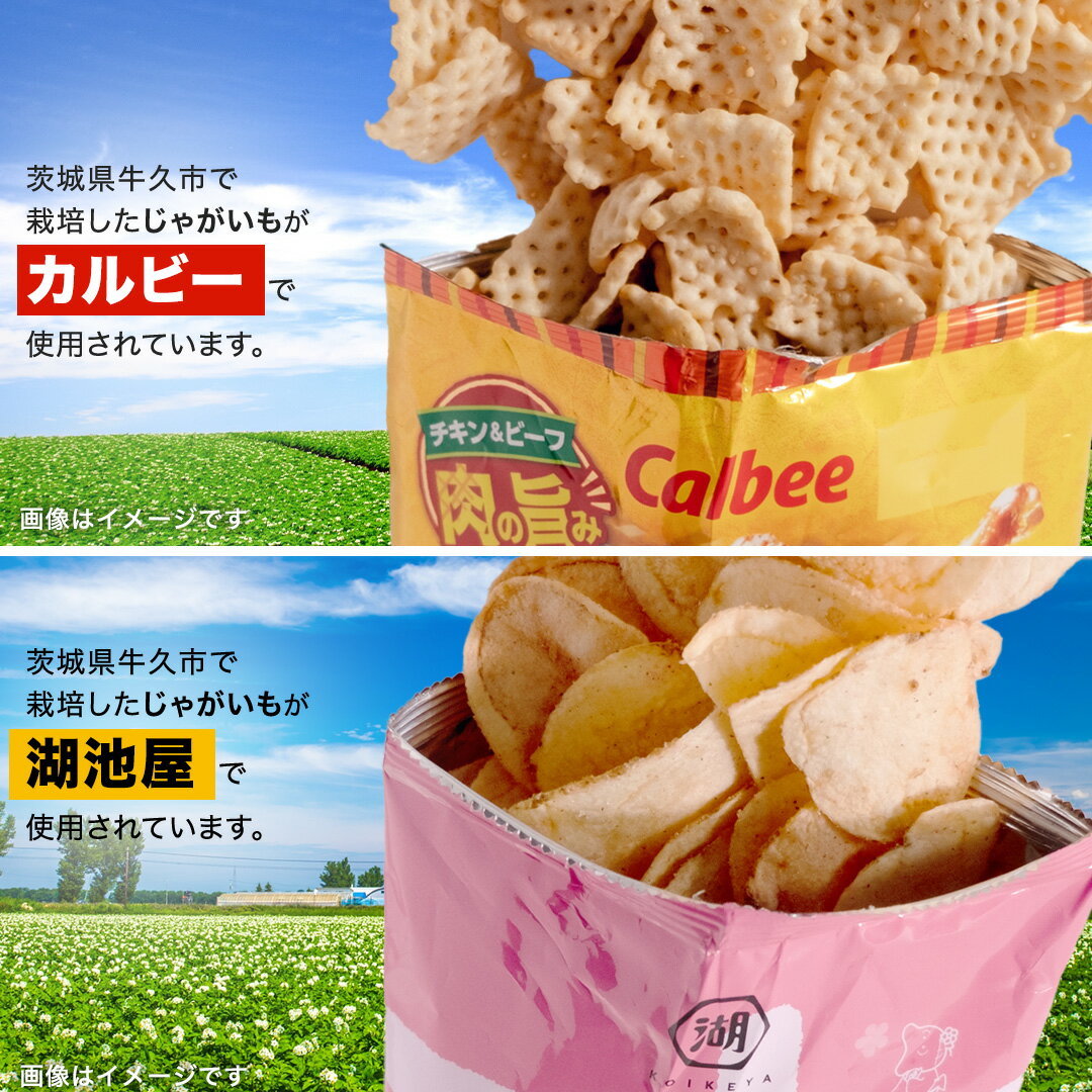 【ふるさと納税】【選べる配送方法】【最短3営業日！スピード発送】カルビー 湖池屋 人気 詰め合わせ お楽しみ スナック菓子 セット 単品24袋 定期便 3 ・ 6か月 ポテトチップス ポテチ お菓子 おかし 大量 Calbee ポテト じゃがいも 頒布会 数量限定 - 画像3