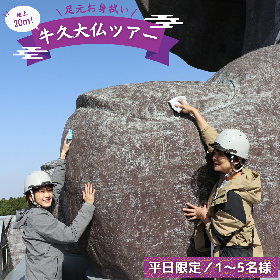 地上20m 牛久大仏 足元 お身拭い 体験 ツアー ※ 平日限定 ※ （ 5名様まで ） 貸切 参加券 体験チケット 観光 ふるさと納税限定