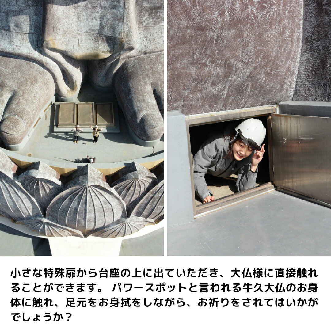 【ふるさと納税】地上20m 牛久大仏 足元 お身拭い 体験 ツアー ※ 平日限定 ※ （ 5名様まで ） 貸切 参加券 体験チケット 観光 ふるさと納税限定 サムネイル3