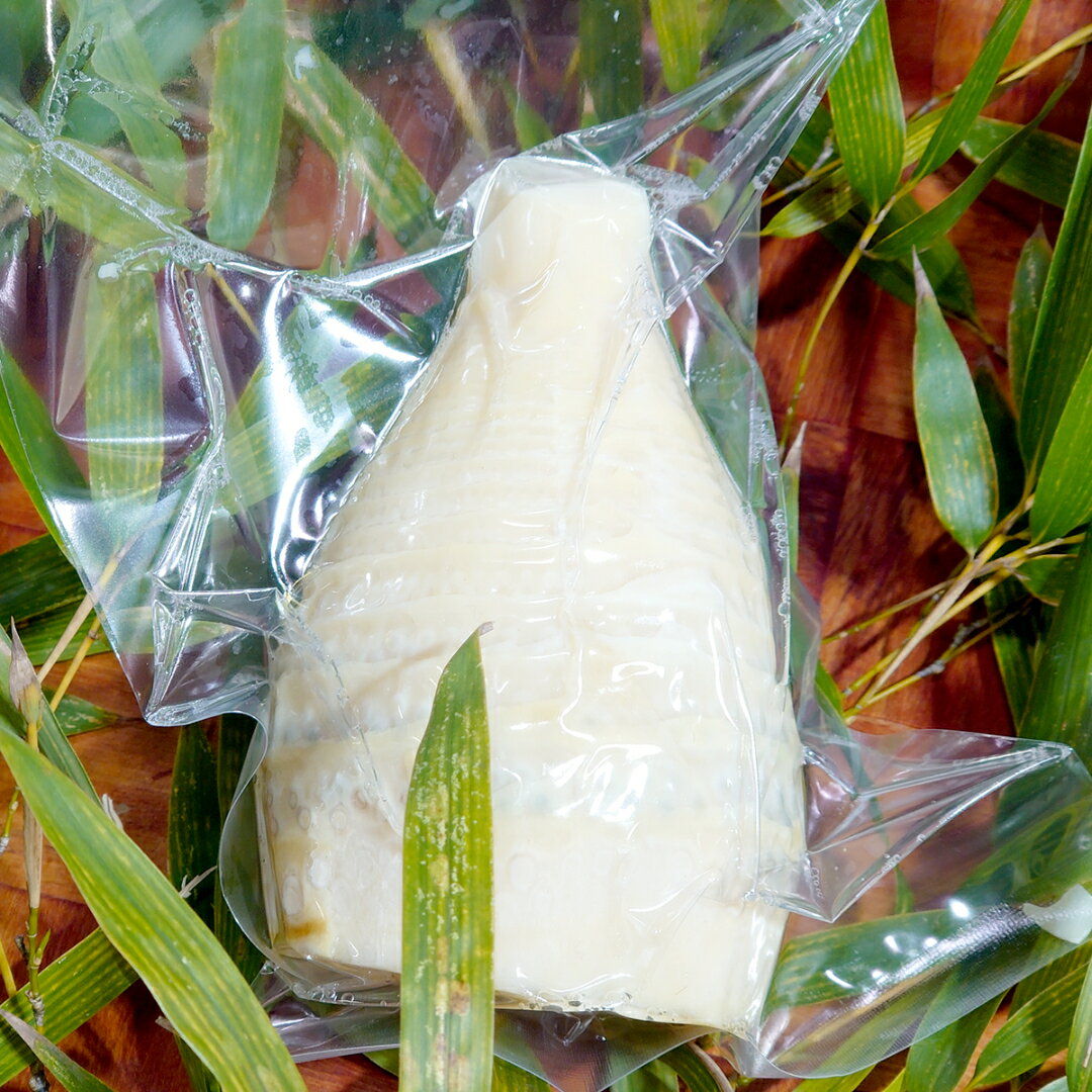 【ふるさと納税】＼選べる内容量／《 先行予約 》新鮮な ゆでタケノコ 【2026年4月上旬以降発送】 約1kg・約2kg 竹の子 1キロ 2キロ 筍 たけのこ 水煮 真空パック 国産 たけのこご飯 - 画像2