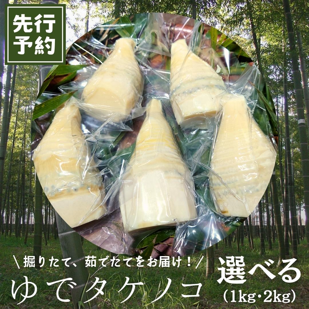 ＼選べる内容量／《 先行予約 》新鮮な ゆでタケノコ 【2026年4月上旬以降発送】 約1kg・約2kg 竹の子 1キロ 2キロ 筍 たけのこ 水煮 真空パック 国産 たけのこご飯