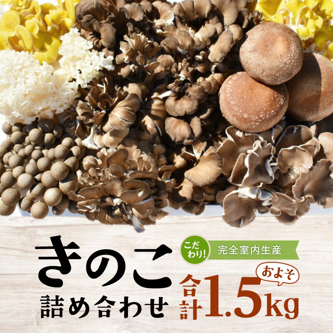 きのこ の 詰め合わせ Mサイズ ( 約1.5kg ) （茨城県共通返礼品：城里町） キノコ セット 野菜 低カロリー ダイエット デトックス バラエティ セット 新鮮