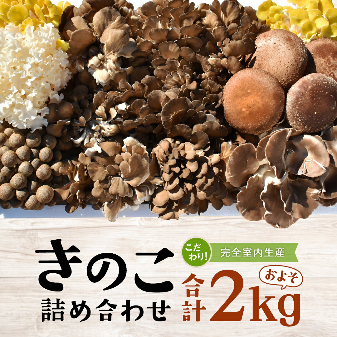 きのこ の 詰め合わせ Lサイズ( 約2kg ) （茨城県共通返礼品：城里町） キノコ セット 野菜 低カロリー ダイエット デトックス バラエティ セット 新鮮