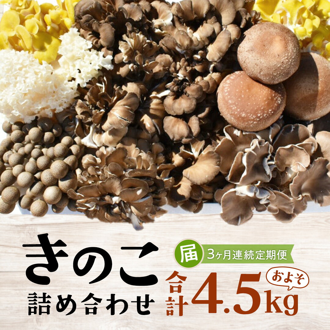 【 3ヶ月連続定期便 】きのこ の詰め合わせ Mサイズ ( 約1.5kg ) （茨城県共通返礼品：城里町） キノコ セット 野菜 低カロリー ダイエット デトックス バラエティ セット 新鮮