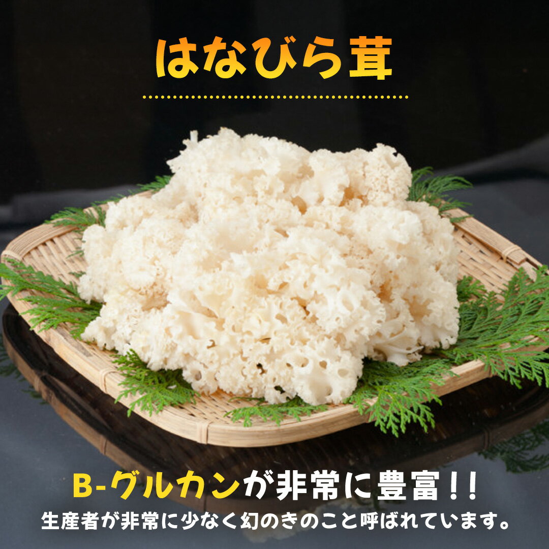 【ふるさと納税】花びらたけ 粉末 3袋 セット（各 50g ） （茨城県共通返礼品：城里町） 花びら茸の粉末 ハナビラタケ 野菜 乾燥 花びらたけ きのこ パウダー 手軽 時短 - 画像2
