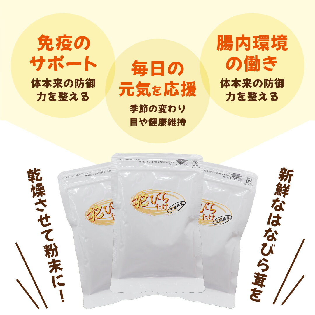 【ふるさと納税】花びらたけ 粉末 3袋 セット（各 50g ） （茨城県共通返礼品：城里町） 花びら茸の粉末 ハナビラタケ 野菜 乾燥 花びらたけ きのこ パウダー 手軽 時短 - 画像3