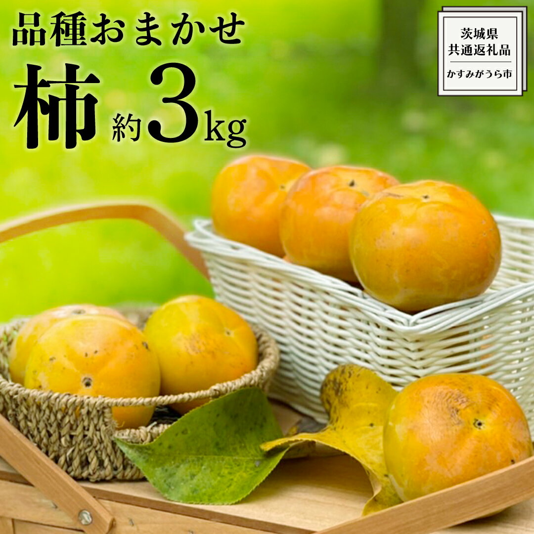 ≪先行予約≫品種おまかせ 柿 約 3kg（ 茨城県共通返礼品：かすみがうら市 ） 【 2025年 10月発送 】 フルーツ かき カキ 果物 旬 新鮮 期間限定 甘い 国産