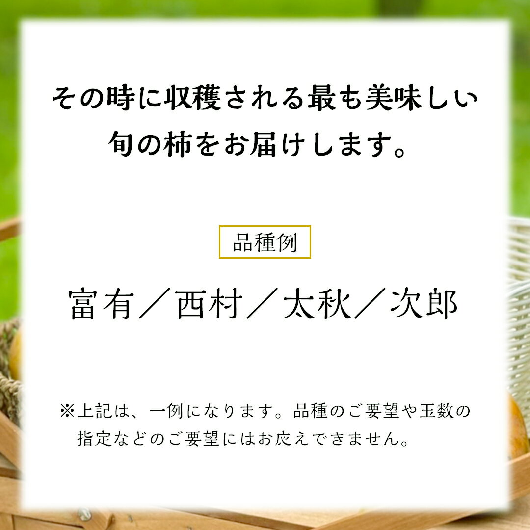 【ふるさと納税】≪先行予約≫品種おまかせ 柿 約 3kg（ 茨城県共通返礼品：かすみがうら市 ） 【 2025年 10月発送 】 フルーツ かき カキ 果物 旬 新鮮 期間限定 甘い 国産 サムネイル2