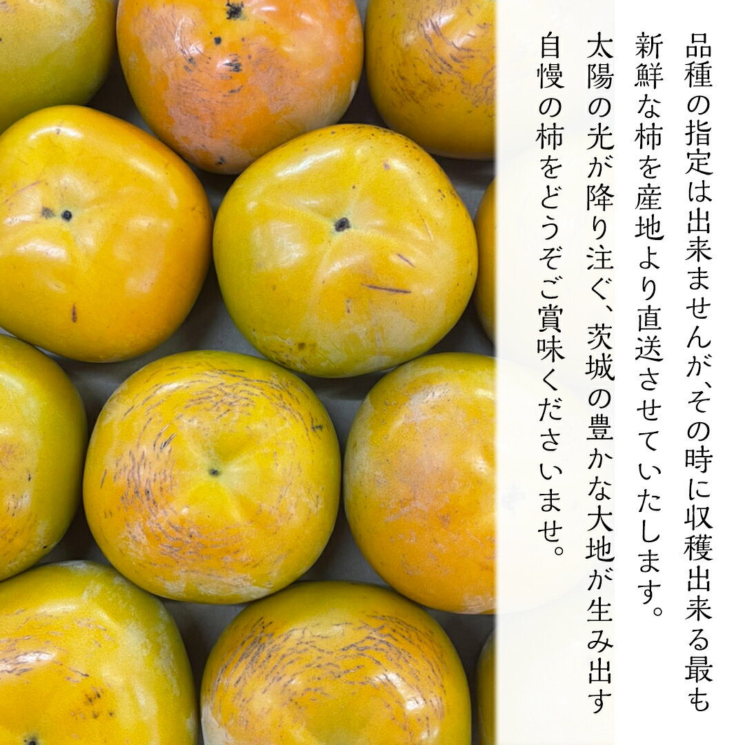 【ふるさと納税】≪先行予約≫品種おまかせ 柿 約 3kg（ 茨城県共通返礼品：かすみがうら市 ） 【 2025年 10月発送 】 フルーツ かき カキ 果物 旬 新鮮 期間限定 甘い 国産 サムネイル3