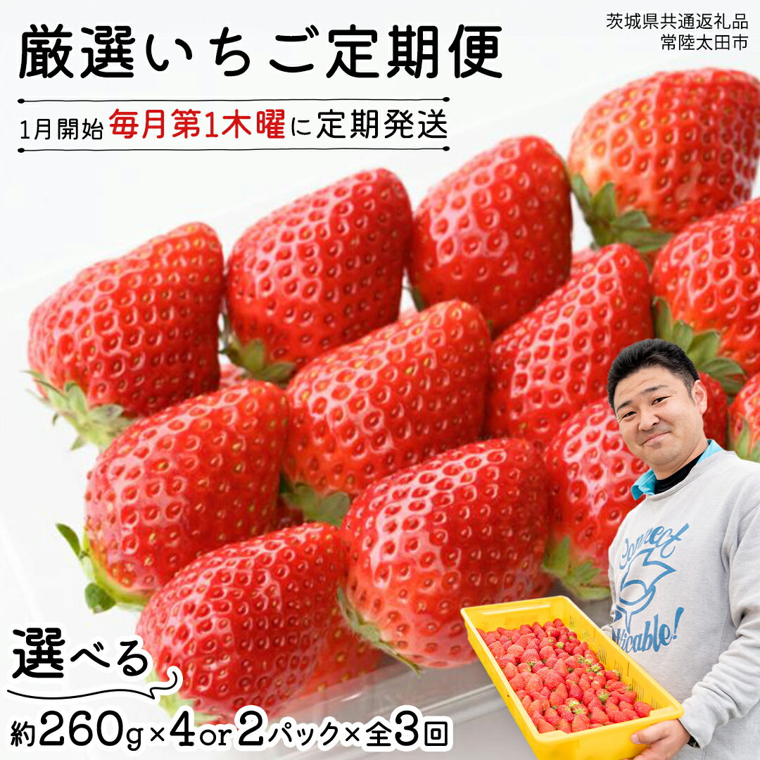 【 先行予約 】 【 定期コース 】 厳選 いちご 選べる 2パック または 4パック 【 毎月 第1木曜に全3回発送 初回発送 2026年1月8日 】 ( 茨城県共通返礼品 : 常陸太田市 ) 選べる容量 約260g×2パック または 約260g×4パック