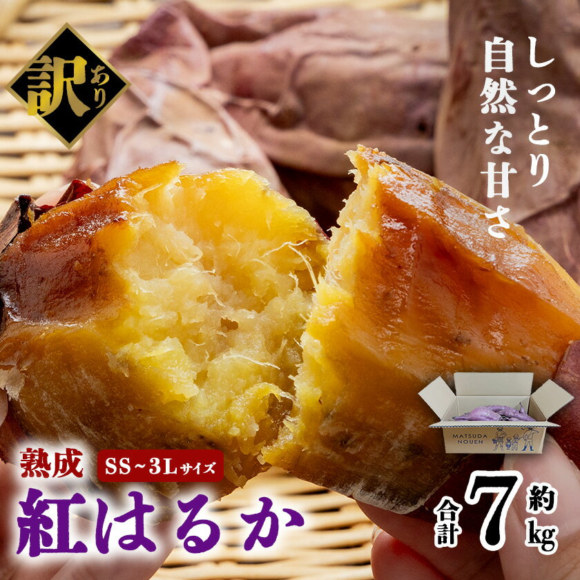 訳あり さつまいも 7kg 熟成 紅はるか SS~3Lサイズ（箱入）茨城県産 | 紅はるか さつまいも サツマイモ おやつ スイーツ 甘味 デザート 熟成 訳アリ 訳あり 10000円 10000 茨城県 つくば市