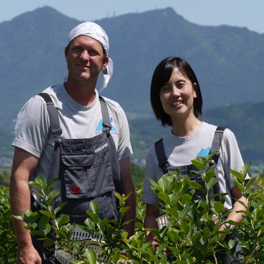 【ふるさと納税】茨城県つくば市産 冷凍ブルーベリー 1kg | 茨城県 つくば市 ブルーベリー 国産 ベリー スイーツ トッピング 栄養 ジャム 果実 果物 パンケーキ サムネイル3