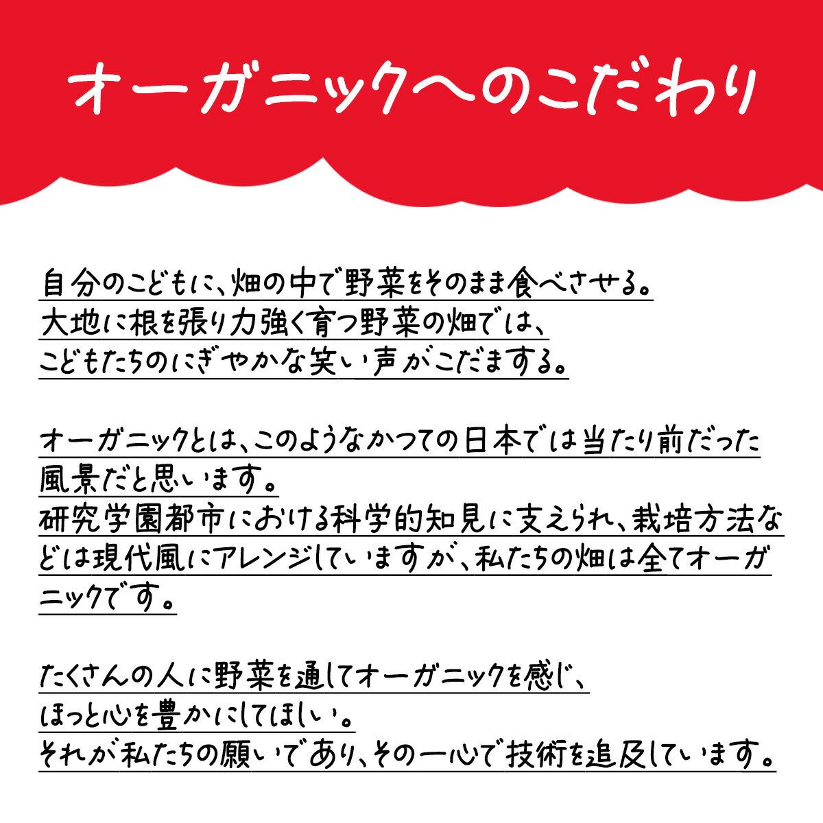 【ふるさと納税】【3ヵ月定期便】有機野菜3種セット（小松菜・水菜・ロメインレタス）すっぴん有機やさい | 茨城県 つくば市 定期 定期便 小松菜 ロメインレタス 水菜 鍋 やさい 有機野菜 有機栽培 無農薬 有機農業 オーガニック 詰め合わせ - 画像3