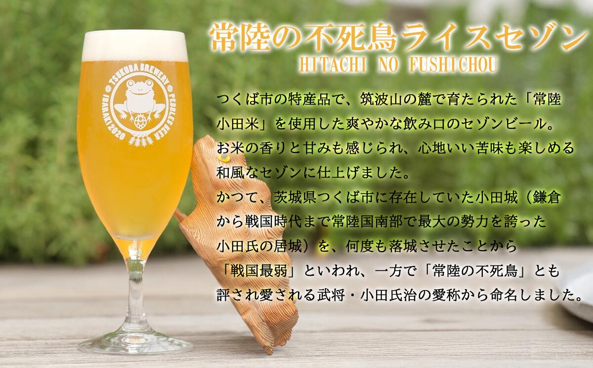【ふるさと納税】つくばブルワリー クラフトビール12本セット | 飲み比べ クラフトビール ビール お酒 酒 麦酒 IPA 缶 麦芽 ホップ 茨城県 つくば市 サムネイル2