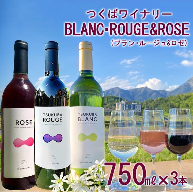 つくばワイナリー TSUKUBA BLANC ・ ROUGE & ROSE セット | お酒 葡萄 ぶどう ブドウ 茨城県 つくば市 ワイナリー ワイン 赤ワイン 白ワイン ロゼワイン
