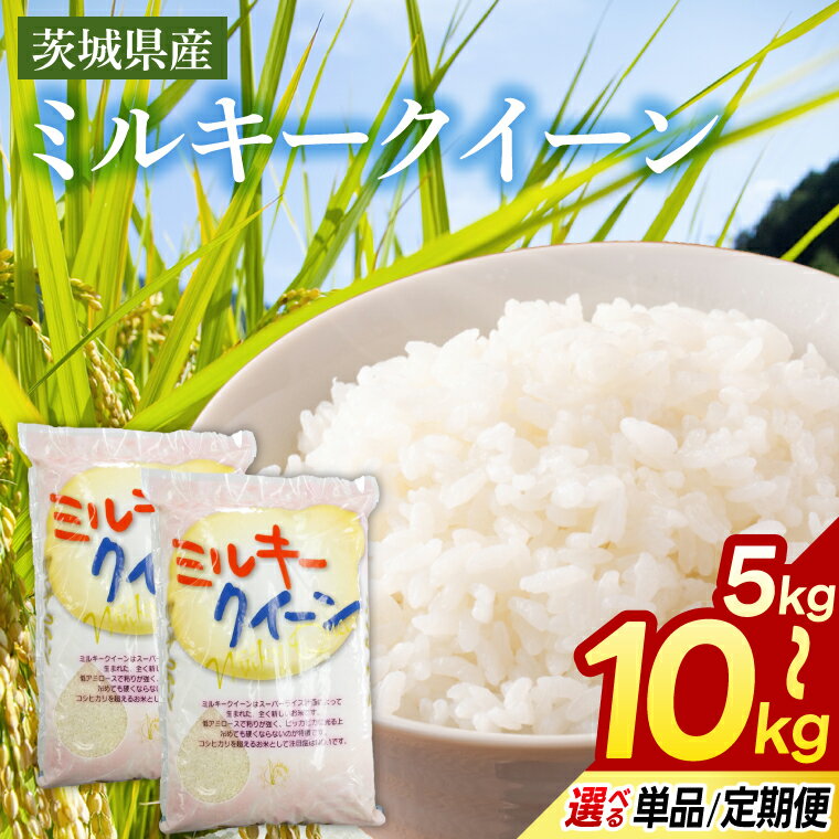 茨城県産ミルキークイーン 選べる 5kg 10kg 単品 定期便(3回/6回) 米 お米 白米 精米 おにぎり 茨城県産 鹿嶋市 国産 送料無料 ごはん ツヤ もちもち やわらか おいしい おこめ 茨城発祥 直前精米 新鮮 粘り 冷めても 美味しい