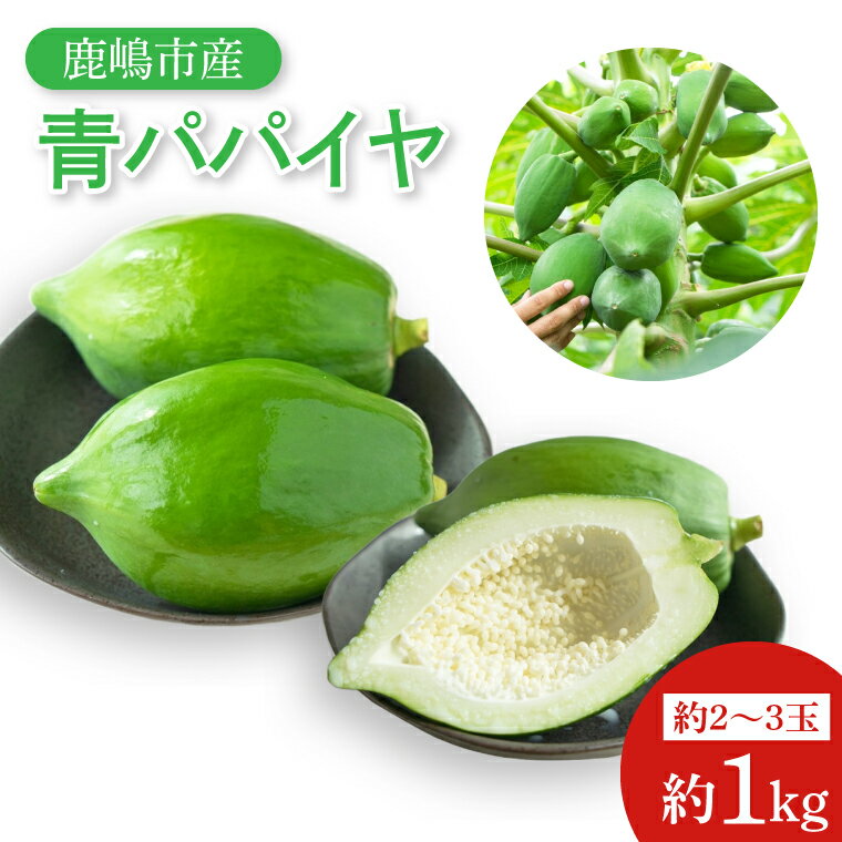鹿嶋市唯一の青パパイヤ農園！青パパイヤ 約1kg 【野菜 やさい くだもの 果物 鹿嶋市 茨城県】（KBF-2）