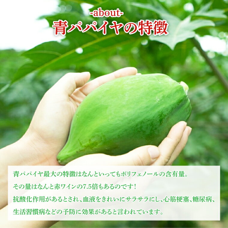 【ふるさと納税】鹿嶋市唯一の青パパイヤ農園！青パパイヤ 約1kg 【野菜 やさい くだもの 果物 鹿嶋市 茨城県】（KBF-2） サムネイル3