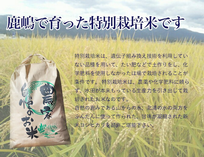 【ふるさと納税】【令和7年産】安心安全のお米！特別栽培米コシヒカリ（5kg）【茨城県 お米 こしひかり 産地直送 おいしい ごはん 】（KAV-5） - 画像3