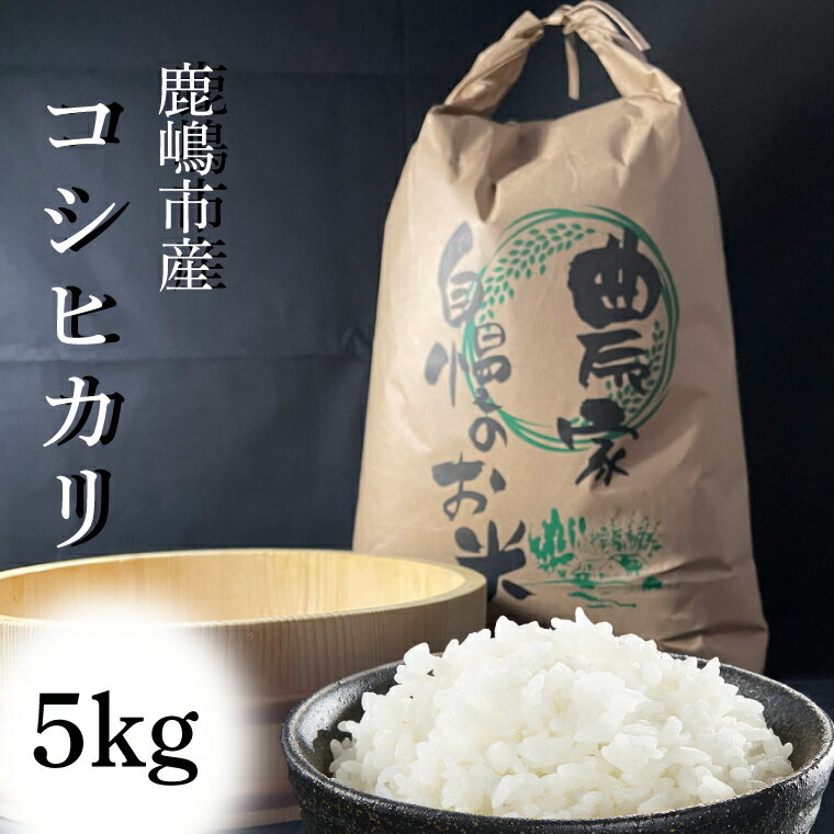 【令和7年産】安心安全のお米！特別栽培米コシヒカリ（5kg）【茨城県 お米 こしひかり 産地直送 おいしい ごはん 】（KAV-5）