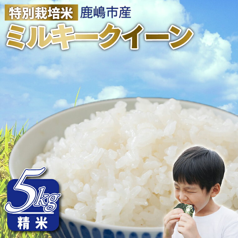 令和7年産 鹿嶋市産 ミルキークイーン (精米) 5kg 【ミルキークイーン 精米 米 お米 良食味米 茨城県 鹿嶋市 15000円以内】（KAK-6）