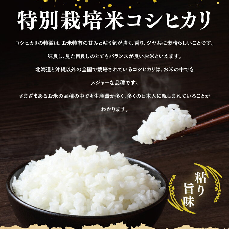 【ふるさと納税】【選べる内容量】【令和7年産】鹿嶋市の子どもたちが食べている特別栽培米コシヒカリ5kg・10kg【お米 米 こしひかり 特別栽培 有機肥料 有機栽培 鹿嶋市 茨城県 白米 おにぎり ごはん 15000円以内】(KBS-6) - 画像2