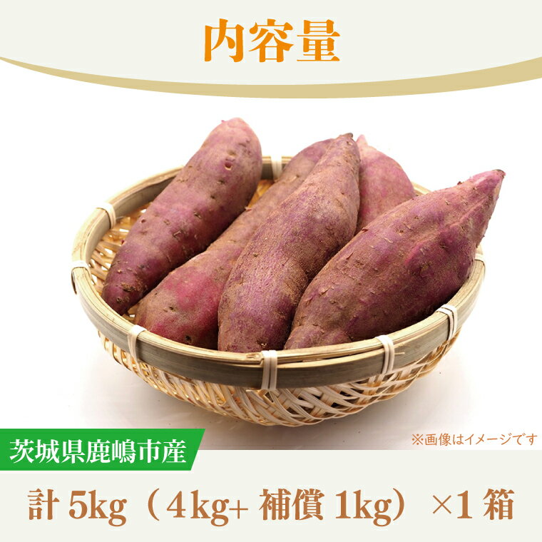 【ふるさと納税】★先行予約★【2026年10月中旬～11月末頃までの発送品！】【普通栽培】紅はるか 生さつまいも(4kg+約25%補償分)　計 約5kg【サツマイモ 芋 いも べにはるか 新鮮 焼き芋 煮物 天ぷら スイートポテト 鹿嶋市 茨城県】（KAG-41） - 画像2