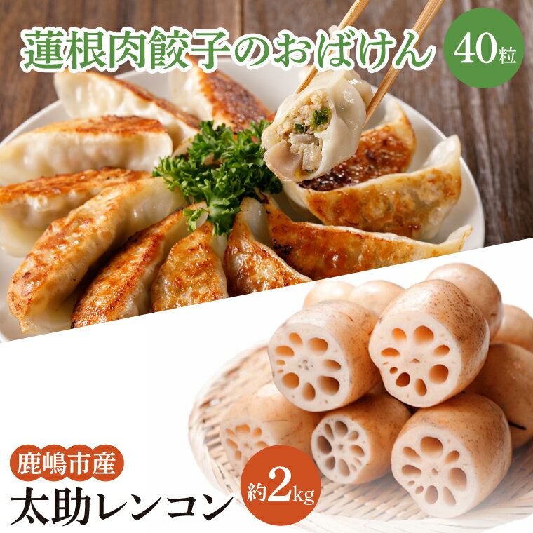 【先行予約】【セット販売】太助レンコン&蓮根肉餃子のおばけん 【2kg&40粒】【野菜 ギョーザ れんこん しゃきしゃき おいしい 食べきり 茨城県 鹿嶋市】（KBU-5）
