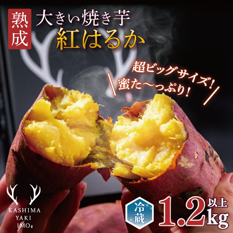 【先行予約】熟成 大きい焼き芋（紅はるか）1.2kg以上 【超ビックサイズ！リピーター続出！ 焼きいも 焼芋 焼き芋 焼きいも やきいも さつまいも 紅はるか 鹿嶋市】（KBK-48）