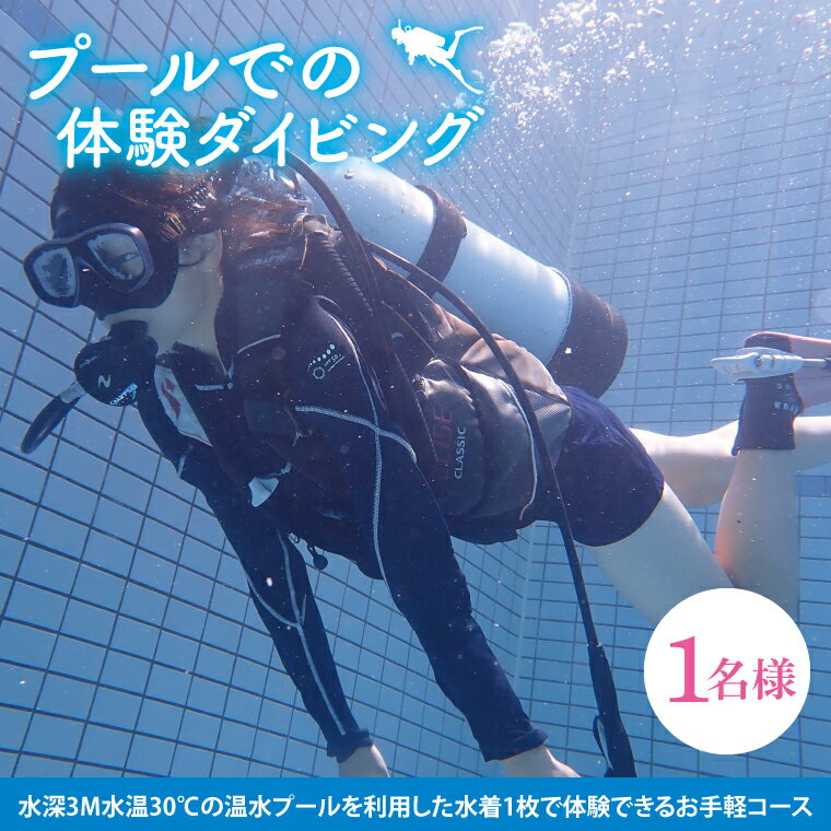 プールでの体験ダイビング（1名）【水中 夏 アクティビティ プール 温水プール ダイビング スポーツ お手軽 体験 マリブ 茨城県 鹿嶋市】（KDA-1）