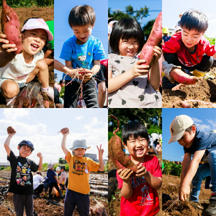 【ふるさと納税】熟成焼きいも 善右ヱ門 「 特製 焼き芋 」選べる 1kg/1.5kg/2kg 【熟成 焼きいも 焼芋 やきいも さつまいも サツマイモ いも 人気 茨城県 鹿嶋市】 - 画像3