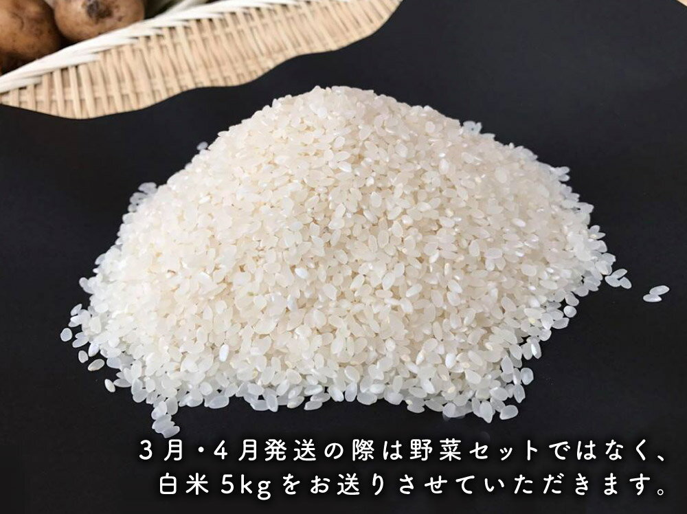 【ふるさと納税】【栽培期間中無農薬＆減農薬】お米(2kg)と季節の野菜（4～5品）のセット 【おいしい ごはん やさい セット グルメ 無農薬 減農薬】（KBE-8） - 画像3