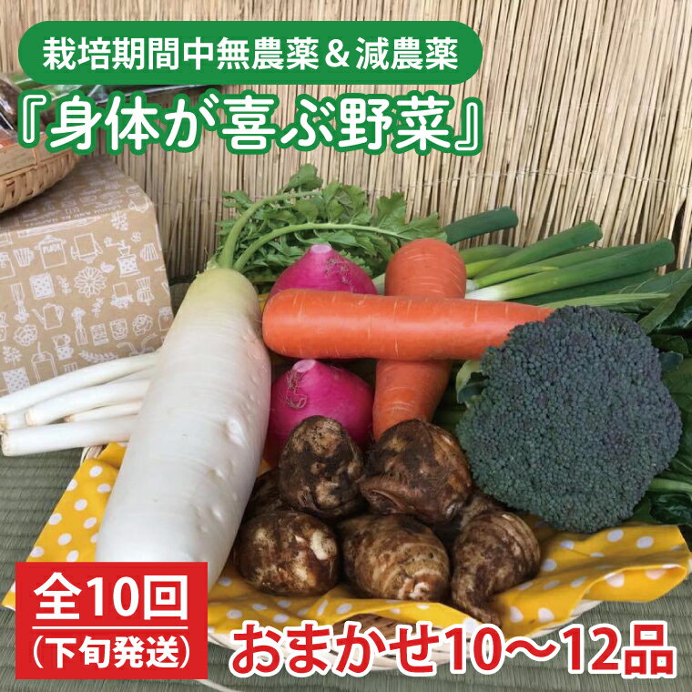 【発送月固定定期便】栽培期間中無農薬＆減農薬用『身体が喜ぶ野菜』おまかせ10～12品（下旬発送）全10回 【新鮮 やさい ベジタブル 安心 安全 おいしい ランダム】（KBE-115）