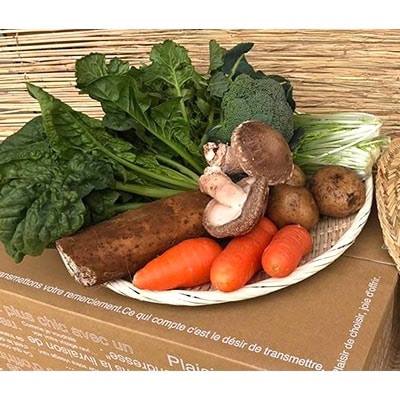 【ふるさと納税】【栽培期間中無農薬＆減農薬】季節の野菜ハーフセット 自然栽培 野菜 セット 詰め合わせ 茨城県 送料無料（KBE-113） - 画像2