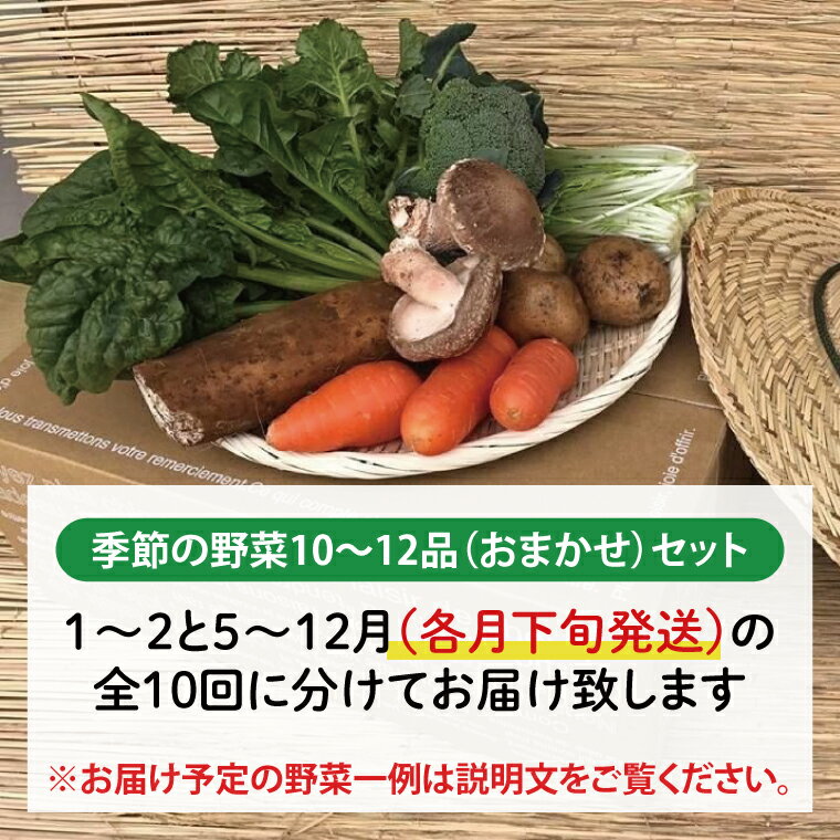 【ふるさと納税】【発送月固定定期便】栽培期間中無農薬＆減農薬用『身体が喜ぶ野菜』おまかせ10～12品（下旬発送）全10回 【新鮮 やさい ベジタブル 安心 安全 おいしい ランダム】（KBE-115） - 画像2