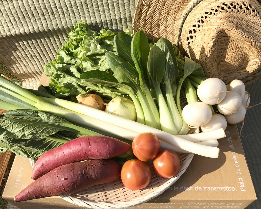 【ふるさと納税】【栽培期間中無農薬＆減農薬】お米(2kg)と季節の野菜（4～5品）のセット 【おいしい ごはん やさい セット グルメ 無農薬 減農薬】（KBE-8） - 画像2