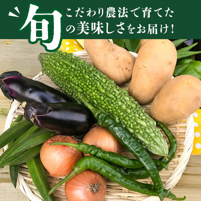【ふるさと納税】＜ハーフサイズ＞ 『身体が喜ぶ野菜』詰め合わせ ( おまかせ ) 野菜 詰合せ 詰め合わせセット お任せ 季節の野菜 セット 栽培期間中農薬不使用 有機栽培 微生物農法 EM農法 露地栽培 産地直送 新鮮 野菜ボックス ギフト 家庭用 茨城県 潮来市 (A03-002) - 画像3