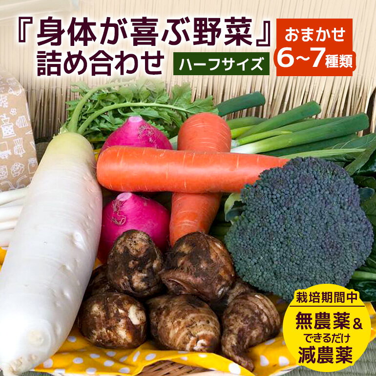 ＜ハーフサイズ＞ 『身体が喜ぶ野菜』詰め合わせ ( おまかせ ) 野菜 詰合せ 詰め合わせセット お任せ 季節の野菜 セット 栽培期間中農薬不使用 有機栽培 微生物農法 EM農法 露地栽培 産地直送 新鮮 野菜ボックス ギフト 家庭用 茨城県 潮来市 (A03-002)