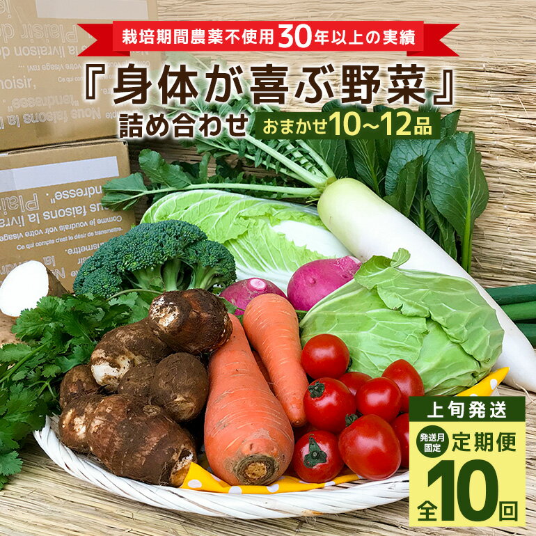 ＜発送月固定定期便＞『身体が喜ぶ野菜』詰め合わせ ( おまかせ 10〜12品) 定期便 野菜 詰合せ 上旬発送全10回 詰め合わせセット お任せ 野菜定期便 季節の野菜 セット 有機栽培 EM農法 産地直送 野菜ボックス ギフト 家庭用 茨城県 潮来市 (A03-020)
