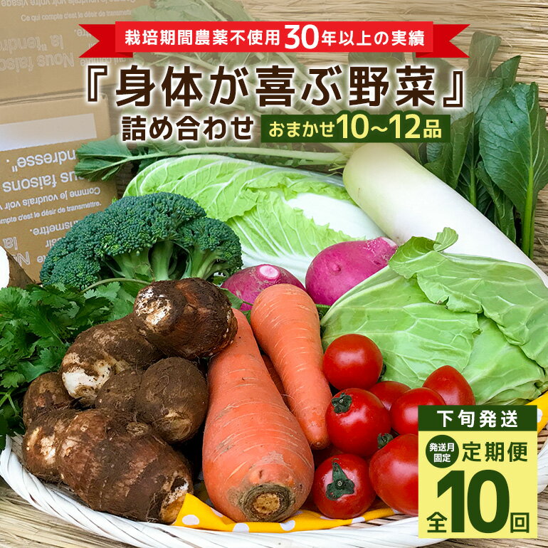＜発送月固定定期便＞『身体が喜ぶ野菜』詰め合わせ ( おまかせ 10〜12品) 定期便 野菜 詰合せ 下旬発送全10回 詰め合わせセット お任せ 野菜定期便 季節の野菜 セット 有機栽培 EM農法 産地直送 野菜ボックス ギフト 家庭用 茨城県 潮来市 (A03-021)