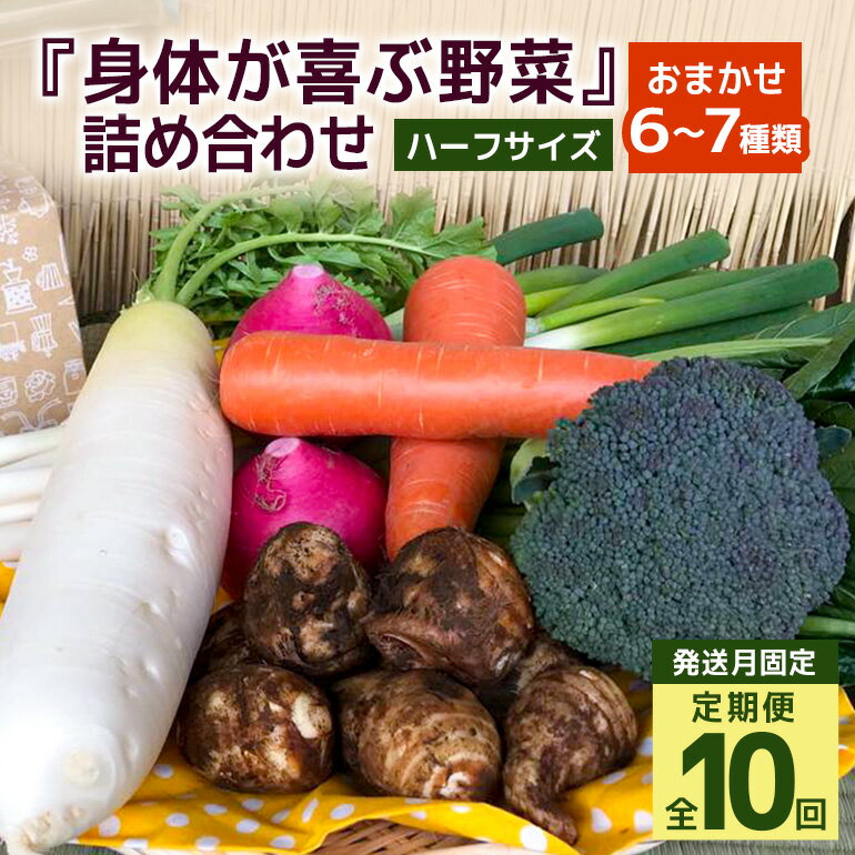 ＜発送月固定定期便＞『身体が喜ぶ野菜』詰め合わせ ( おまかせ ハーフサイズ) 定期便 野菜 詰合せ 全10回 詰め合わせセット お任せ 野菜定期便 季節の野菜 セット 有機栽培 EM農法 産地直送 新鮮 野菜ボックス ギフト 家庭用 茨城県 潮来市 (A03-022)