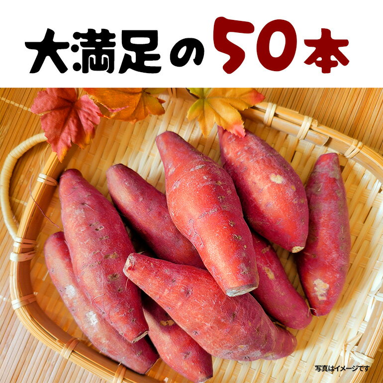 【ふるさと納税】 紅はるか 冷凍焼き芋 50本 (合計8〜9kg) 電子レンジ対応袋使用 茨城県産 さつまいも 個包装 遠赤外線焼き上げ シャーベット風 焼き芋スムージー 焼き芋ラテ イベント 催事用 大容量 茨城県 潮来市 (A40-005) - 画像2