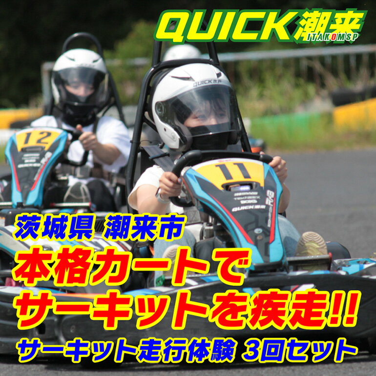 【ふるさと納税】 クイック潮来 レンタルゴーカート 本格サーキット走行体験プラン 3回セット 走行7分×3回 車両レンタル ヘルメット貸出付き 初心者OK 身長125cm以上対象 予約制 茨城県 潮来市 (A55-001) サムネイル2